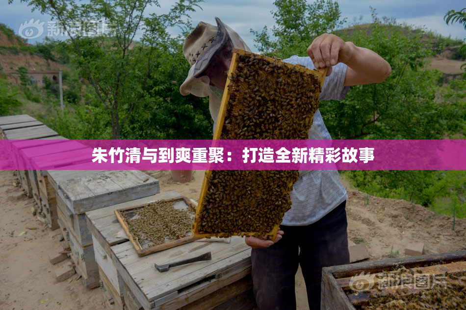朱竹清与到爽重聚：打造全新精彩故事