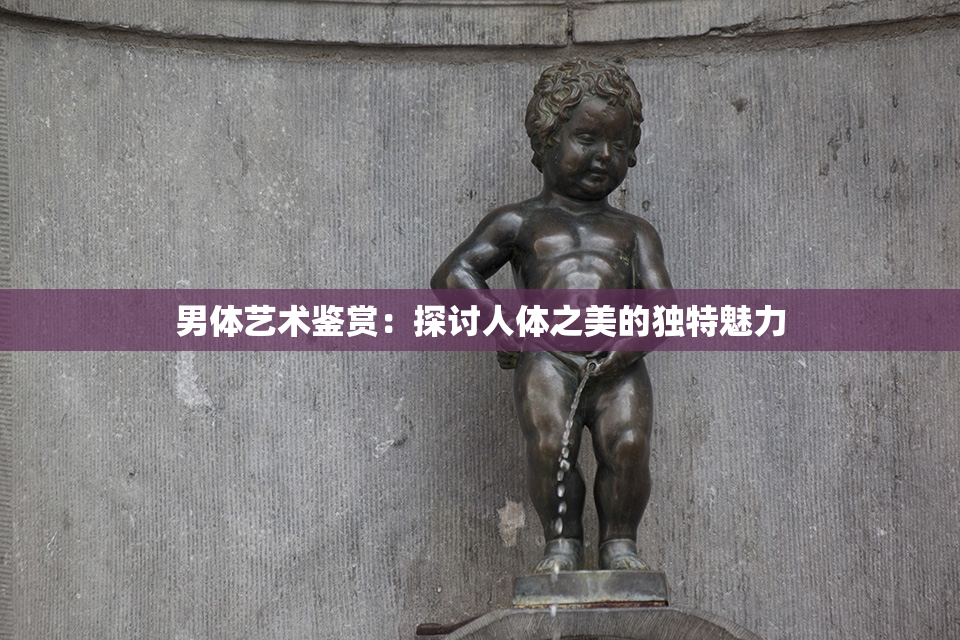 男体艺术鉴赏：探讨人体之美的独特魅力