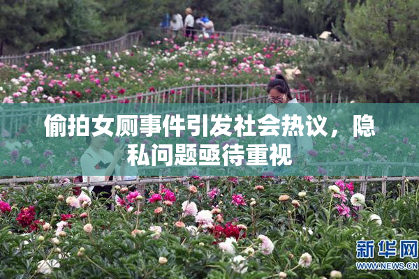偷拍女厕事件引发社会热议，隐私问题亟待重视