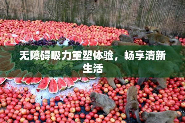 无障碍吸力重塑体验，畅享清新生活