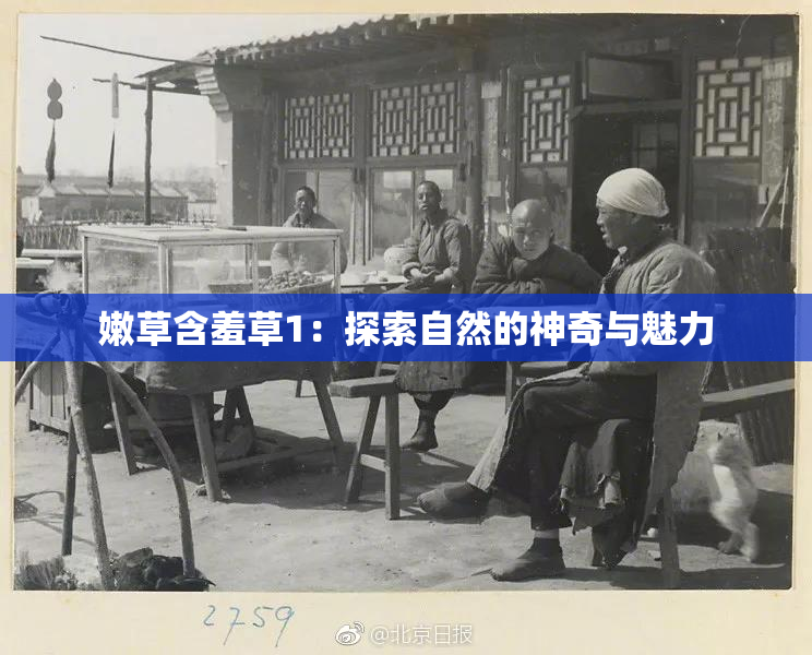 嫩草含羞草1：探索自然的神奇与魅力