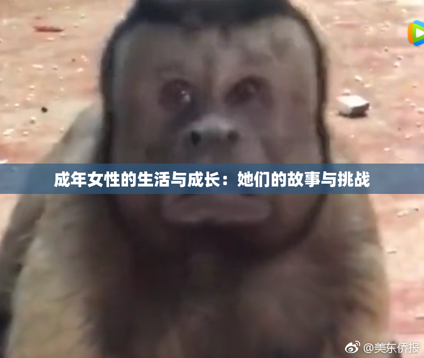 成年女性的生活与成长：她们的故事与挑战