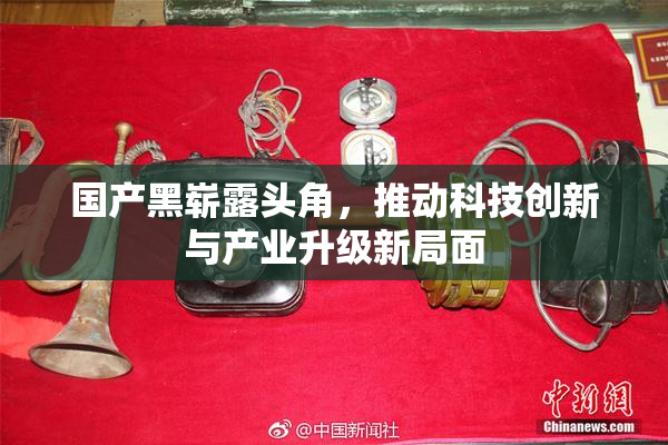 国产黑崭露头角，推动科技创新与产业升级新局面