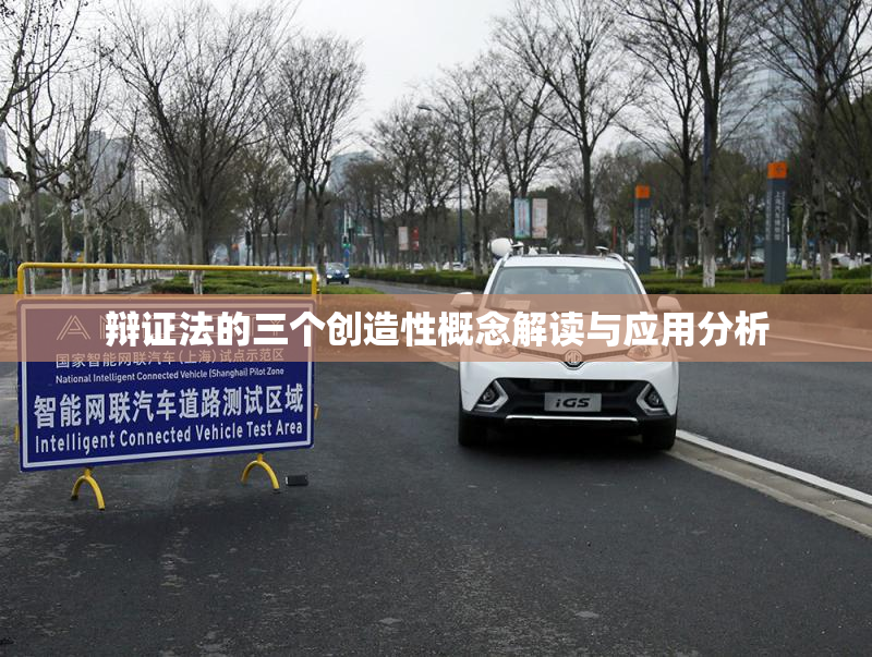 辩证法的三个创造性概念解读与应用分析