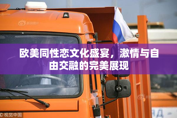 欧美同性恋文化盛宴，激情与自由交融的完美展现