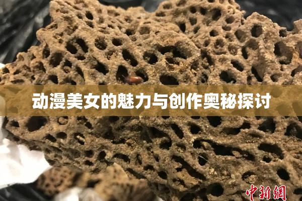 动漫美女的魅力与创作奥秘探讨