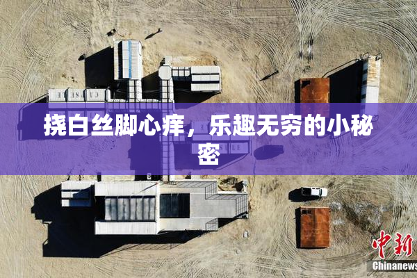 挠白丝脚心痒，乐趣无穷的小秘密