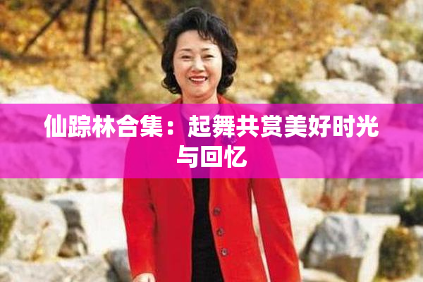 仙踪林合集：起舞共赏美好时光与回忆
