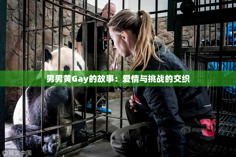 男男黄Gay的故事：爱情与挑战的交织