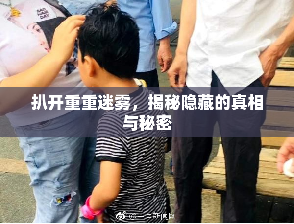 扒开重重迷雾，揭秘隐藏的真相与秘密