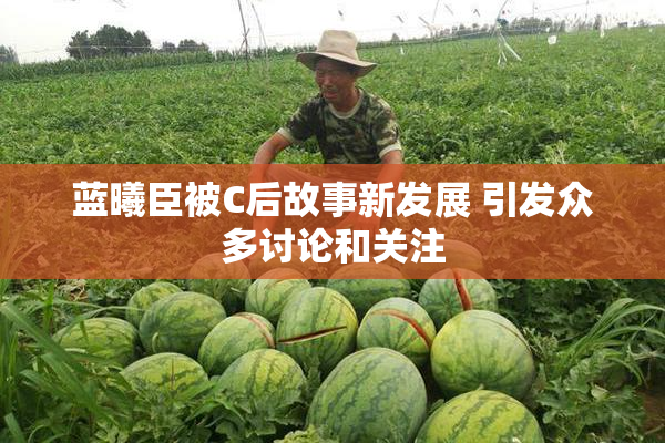 蓝曦臣被C后故事新发展 引发众多讨论和关注
