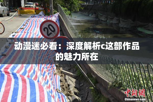 动漫迷必看：深度解析c这部作品的魅力所在