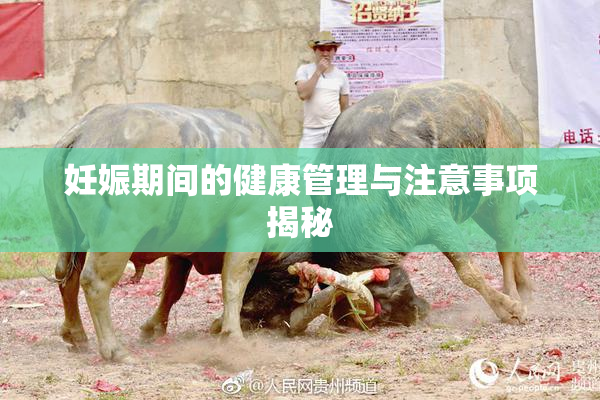妊娠期间的健康管理与注意事项揭秘