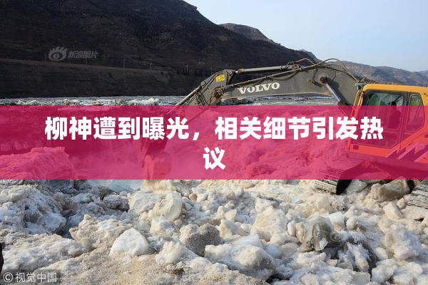 柳神遭到曝光，相关细节引发热议