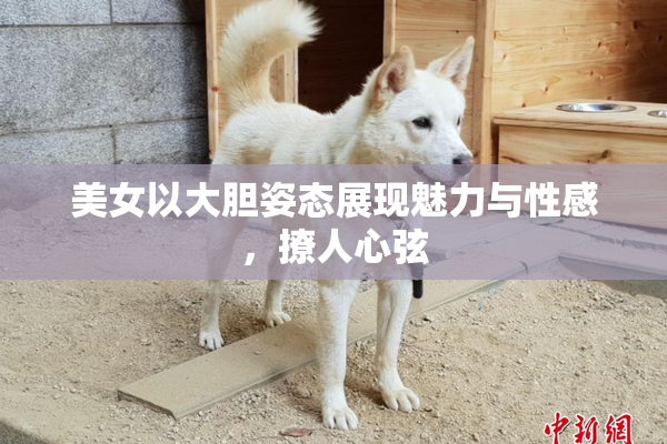 美女以大胆姿态展现魅力与性感，撩人心弦