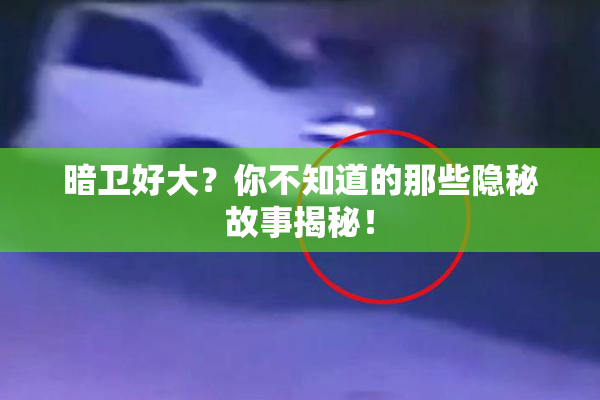 暗卫好大？你不知道的那些隐秘故事揭秘！