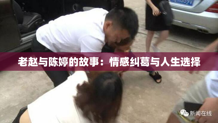 老赵与陈婷的故事：情感纠葛与人生选择