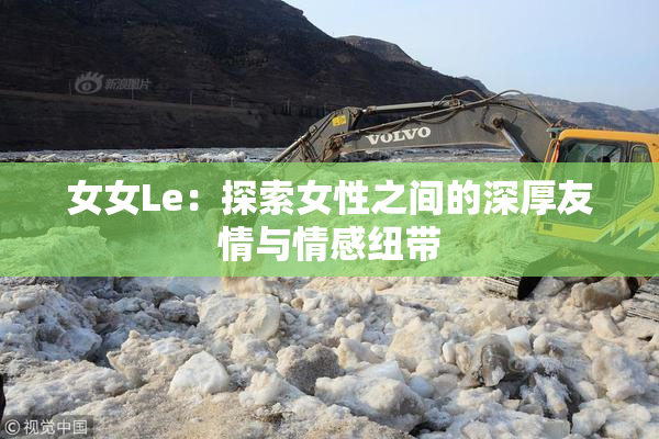 女女Le：探索女性之间的深厚友情与情感纽带