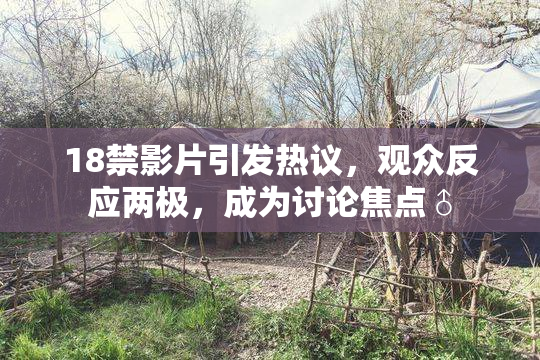 18禁影片引发热议，观众反应两极，成为讨论焦点♂