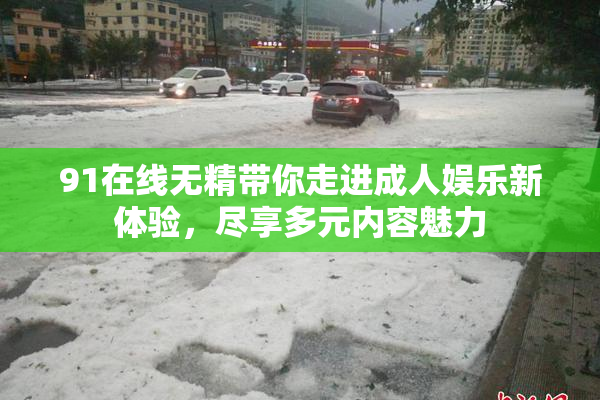91在线无精带你走进成人娱乐新体验，尽享多元内容魅力