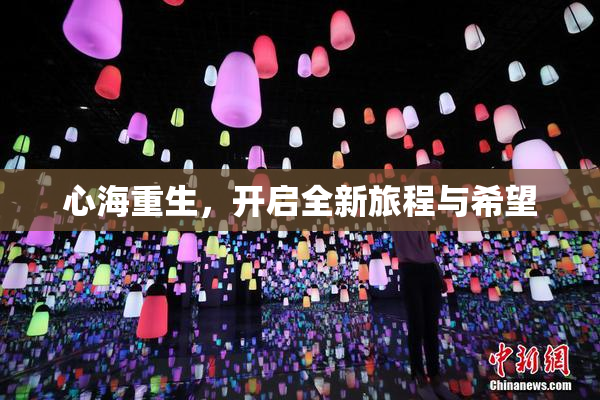 心海重生，开启全新旅程与希望