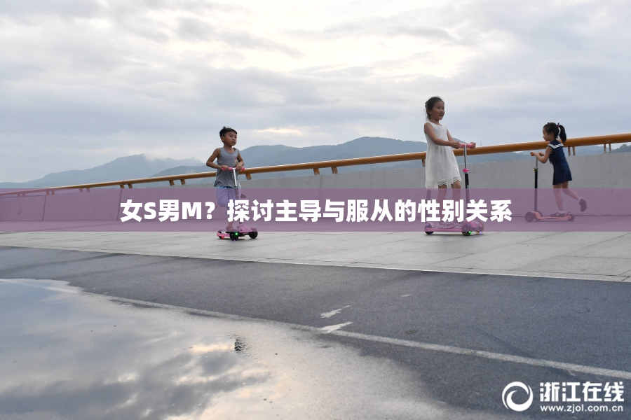 女S男M？探讨主导与服从的性别关系