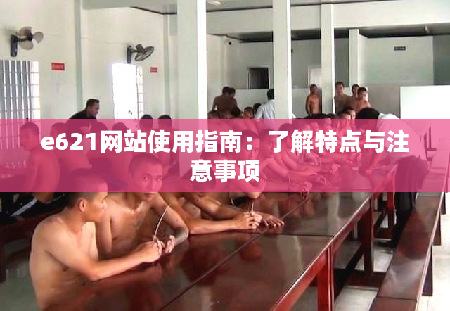 e621网站使用指南：了解特点与注意事项