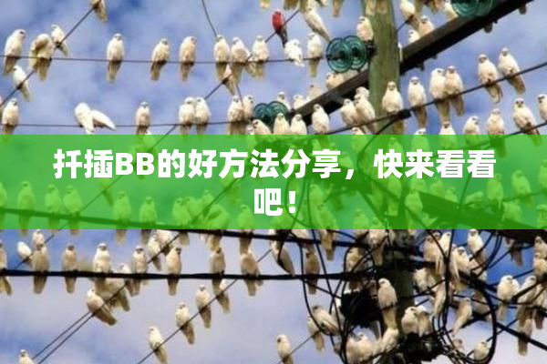 扦插BB的好方法分享，快来看看吧！