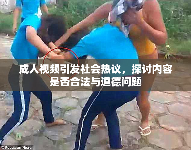 成人视频引发社会热议，探讨内容是否合法与道德问题