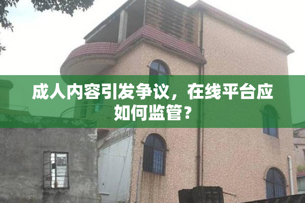 成人内容引发争议，在线平台应如何监管？