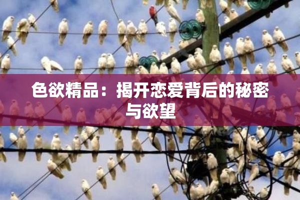 色欲精品：揭开恋爱背后的秘密与欲望