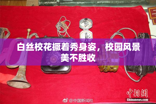 白丝校花撅着秀身姿，校园风景美不胜收