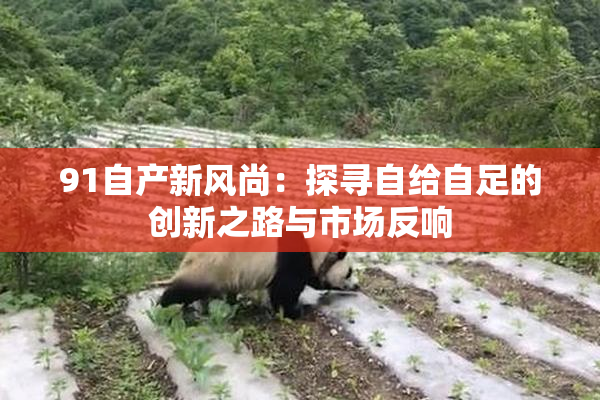 91自产新风尚：探寻自给自足的创新之路与市场反响