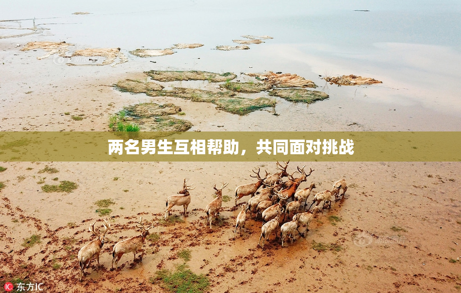 两名男生互相帮助，共同面对挑战