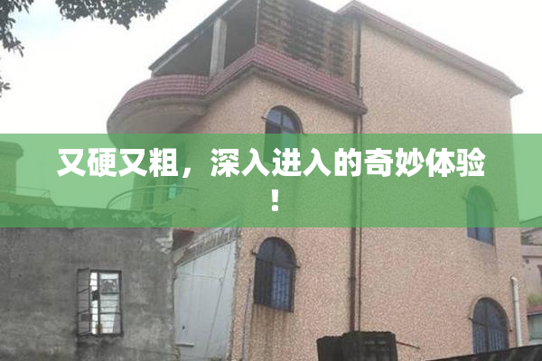 又硬又粗，深入进入的奇妙体验！