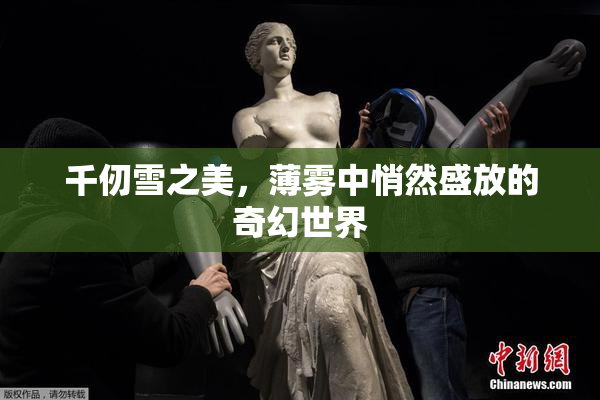 千仞雪之美，薄雾中悄然盛放的奇幻世界