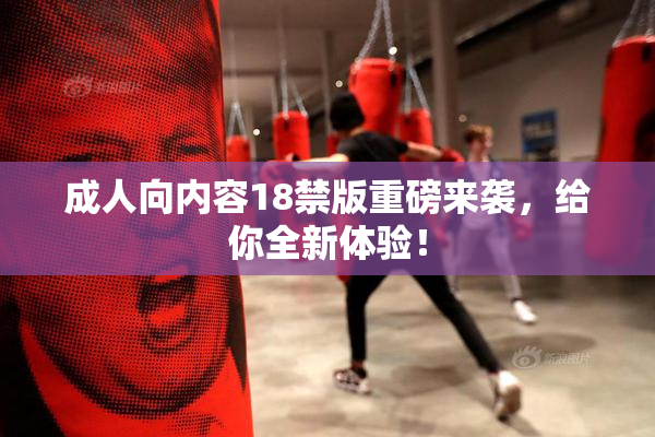 成人向内容18禁版重磅来袭，给你全新体验！
