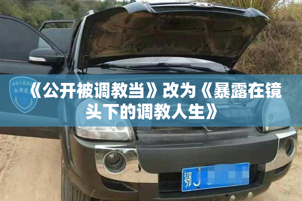 《公开被调教当》改为《暴露在镜头下的调教人生》