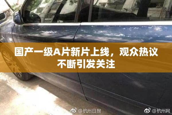 国产一级A片新片上线，观众热议不断引发关注