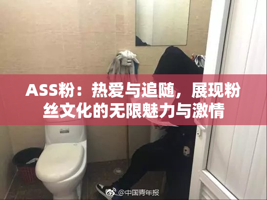 ASS粉：热爱与追随，展现粉丝文化的无限魅力与激情