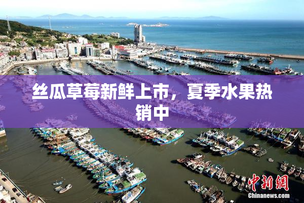 丝瓜草莓新鲜上市，夏季水果热销中