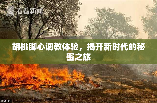 胡桃脚心调教体验，揭开新时代的秘密之旅