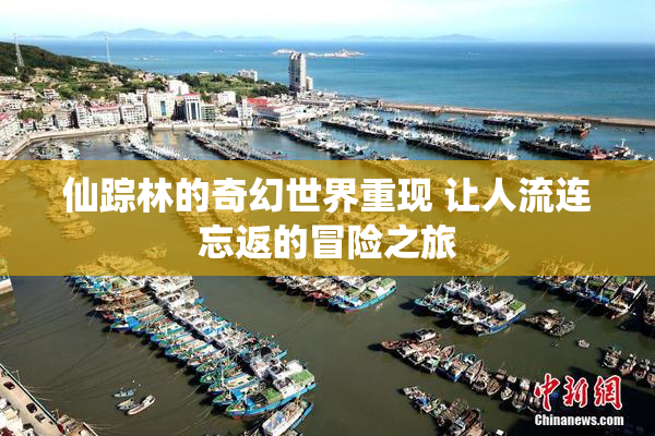 仙踪林的奇幻世界重现 让人流连忘返的冒险之旅