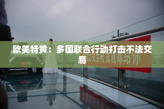 欧美特黄：多国联合行动打击不法交易