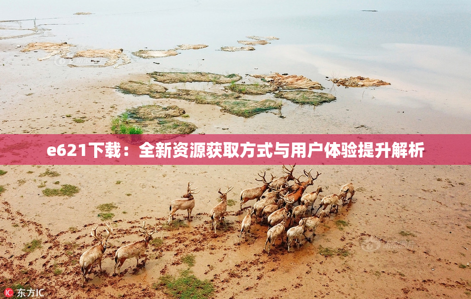 e621下载：全新资源获取方式与用户体验提升解析
