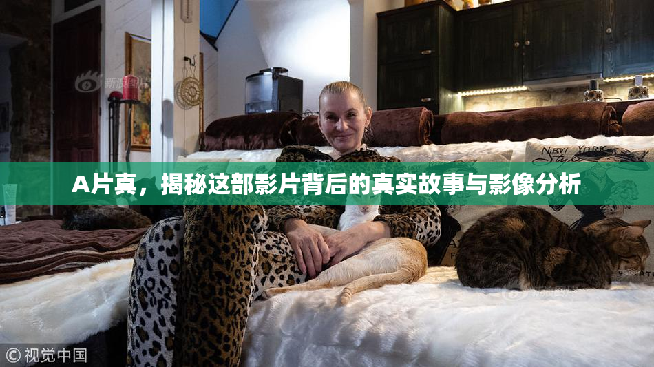 A片真，揭秘这部影片背后的真实故事与影像分析