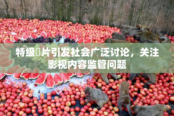 特级婬片引发社会广泛讨论，关注影视内容监管问题