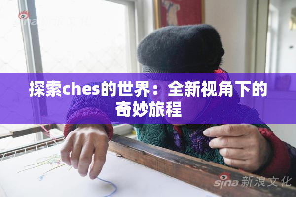 探索ches的世界：全新视角下的奇妙旅程