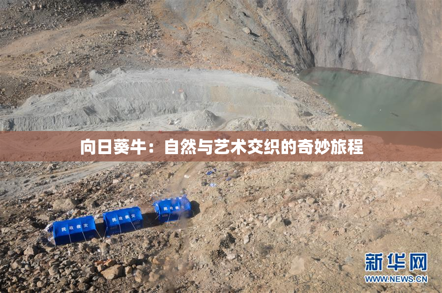 向日葵牛：自然与艺术交织的奇妙旅程