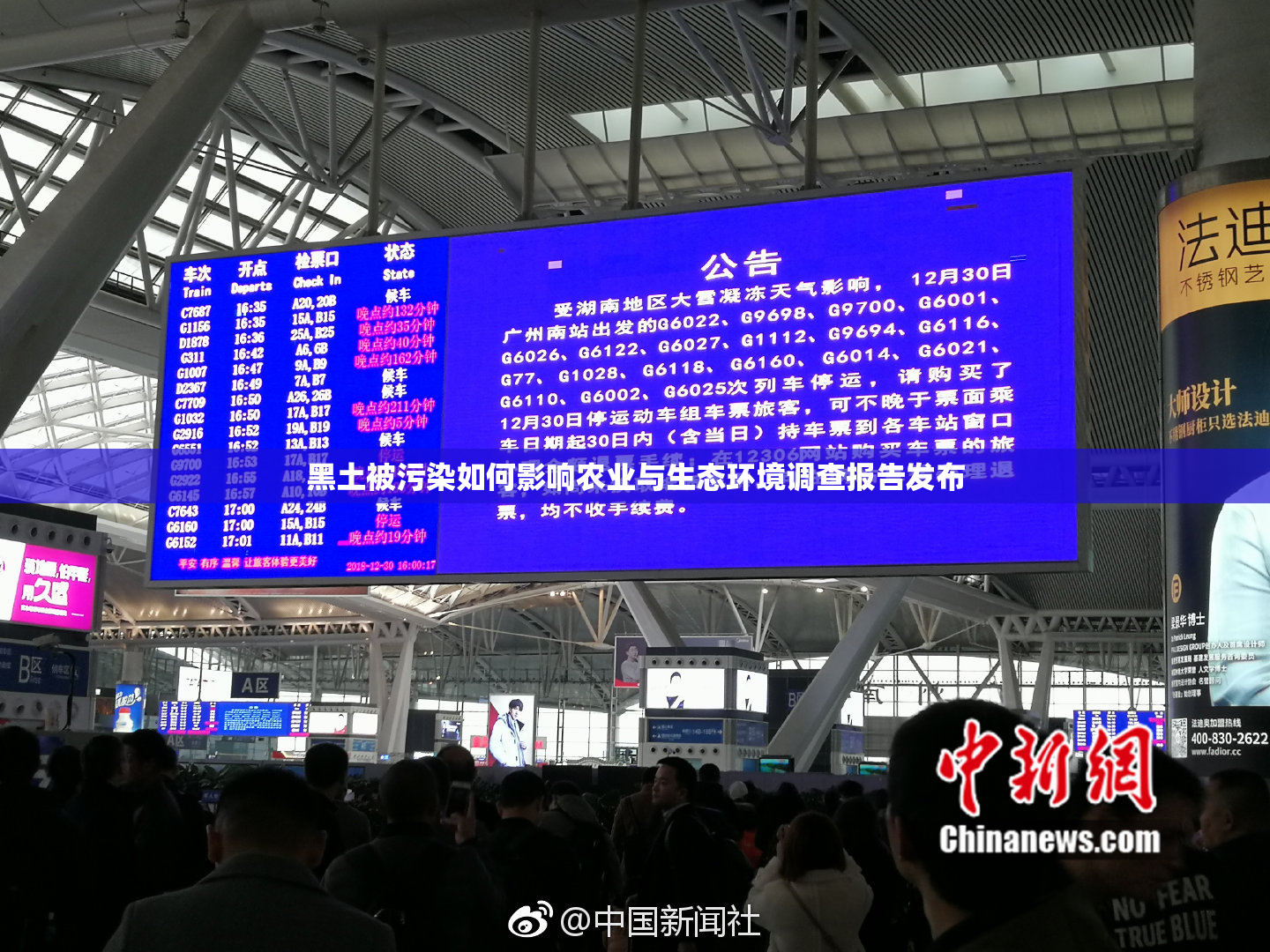 黑土被污染如何影响农业与生态环境调查报告发布
